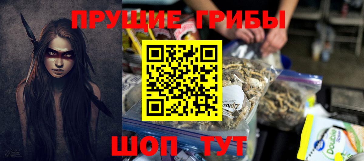 Псилоцибиновые грибы прущие грибы Элиста